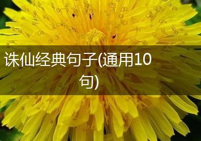 诛仙经典句子(通用10句)