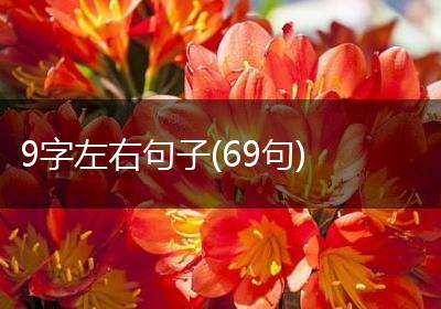 9字左右句子(69句)