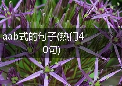 aab式的句子(热门40句)