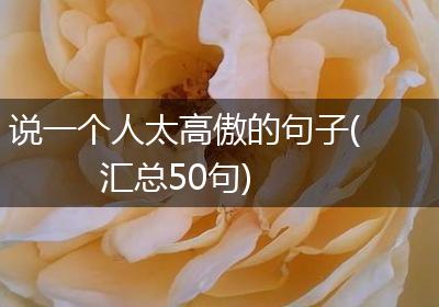 说一个人太高傲的句子(汇总50句)