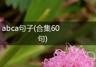 abca句子(合集60句)