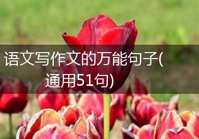 语文写作文的万能句子(通用51句)