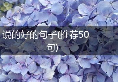 说的好的句子(推荐50句)
