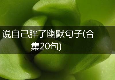 说自己胖了幽默句子(合集20句)