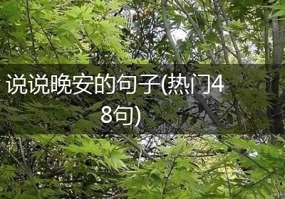 说说晚安的句子(热门48句)