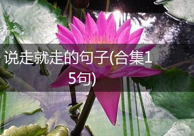 说走就走的句子(合集15句)