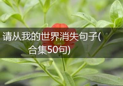 请从我的世界消失句子(合集50句)
