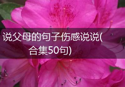 说父母的句子伤感说说(合集50句)