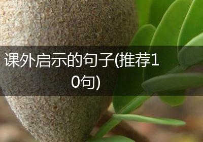 课外启示的句子(推荐10句)