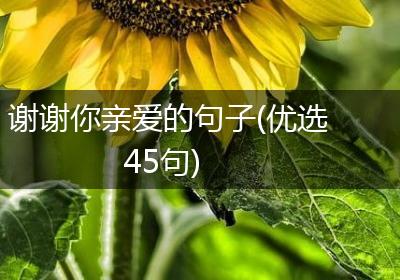 谢谢你亲爱的句子(优选45句)