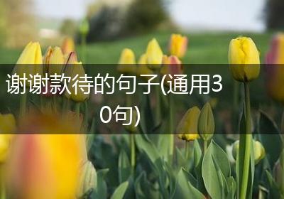 谢谢款待的句子(通用30句)