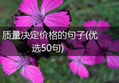 质量决定价格的句子(优选50句)