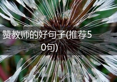 赞教师的好句子(推荐50句)