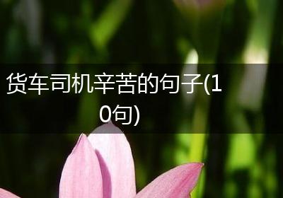 货车司机辛苦的句子(10句)