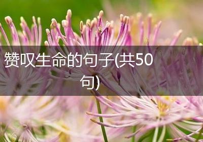 赞叹生命的句子(共50句)