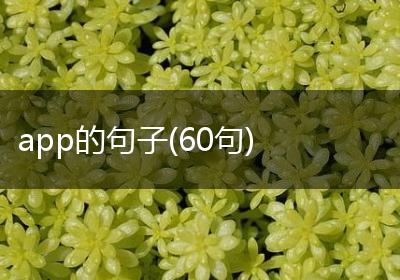 app的句子(60句)