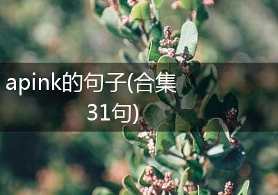 apink的句子(合集31句)