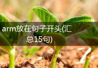 arm放在句子开头(汇总15句)