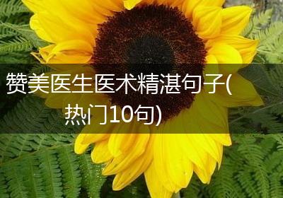 赞美医生医术精湛句子(热门10句)