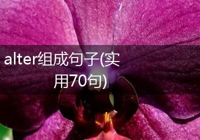 alter组成句子(实用70句)