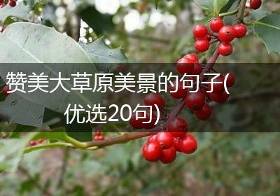 赞美大草原美景的句子(优选20句)
