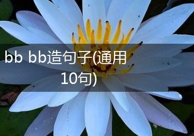 bb bb造句子(通用10句)