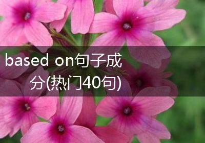 based on句子成分(热门40句)