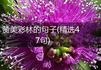 赞美彩林的句子(精选47句)
