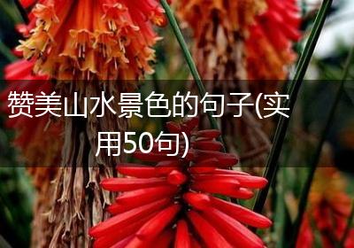 赞美山水景色的句子(实用50句)