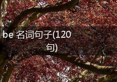 be 名词句子(120句)