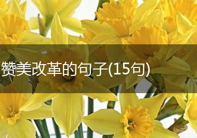 赞美改革的句子(15句)