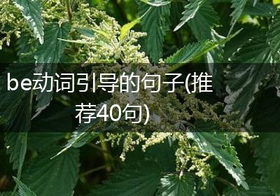 be动词引导的句子(推荐40句)