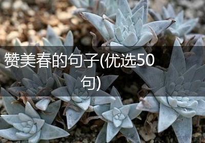 赞美春的句子(优选50句)