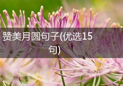 赞美月圆句子(优选15句)