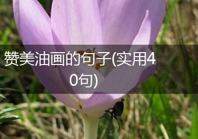 赞美油画的句子(实用40句)