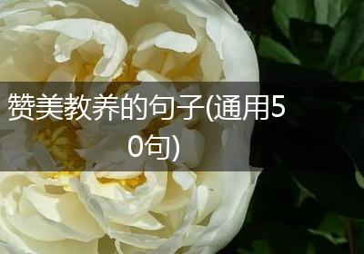 赞美教养的句子(通用50句)