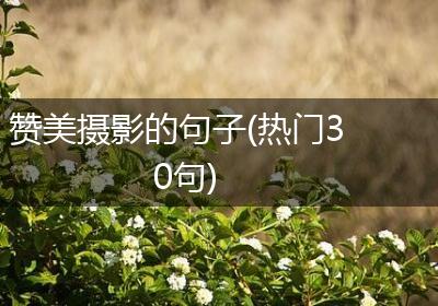 赞美摄影的句子(热门30句)
