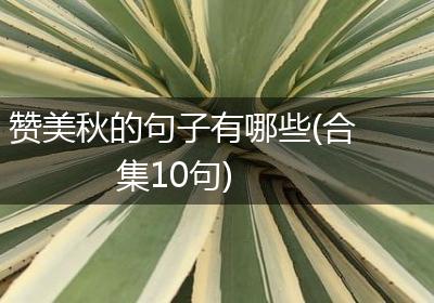 赞美秋的句子有哪些(合集10句)