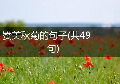 赞美秋菊的句子(共49句)