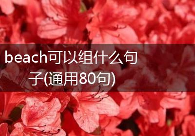 beach可以组什么句子(通用80句)