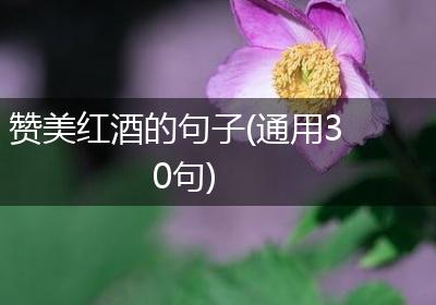 赞美红酒的句子(通用30句)