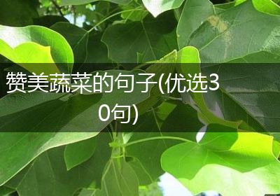 赞美蔬菜的句子(优选30句)