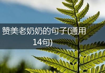 赞美老奶奶的句子(通用14句)