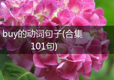 buy的动词句子(合集101句)
