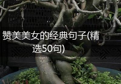 赞美美女的经典句子(精选50句)