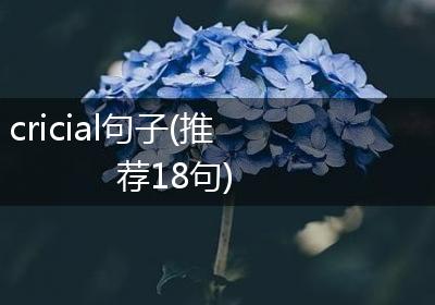 cricial句子(推荐18句)