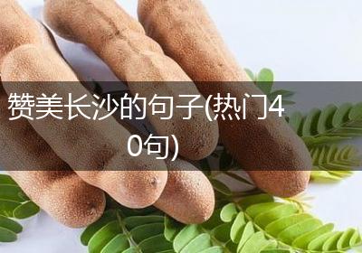 赞美长沙的句子(热门40句)