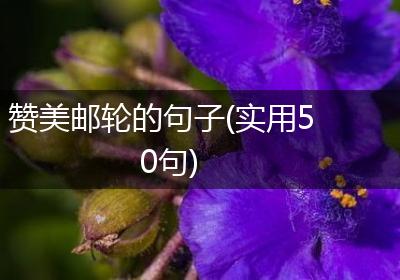 赞美邮轮的句子(实用50句)