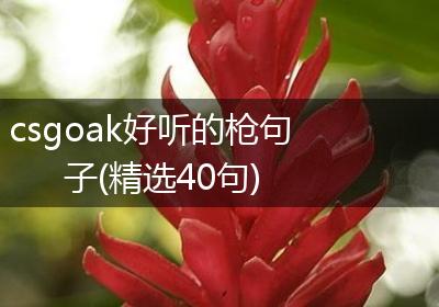 csgoak好听的枪句子(精选40句)