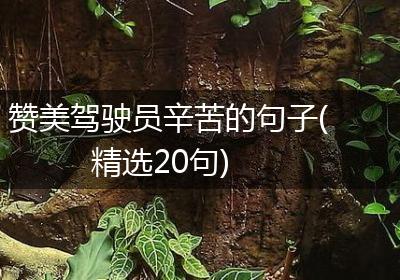 赞美驾驶员辛苦的句子(精选20句)